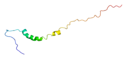 Ақуыз KCNA4 PDB 1kn7.png