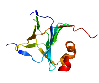 <span class="mw-page-title-main">NACA (gene)</span> Protein-coding gene in humans