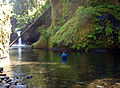 Punchbowlfalls.jpg