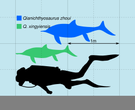 Qianichthyosaurus
