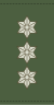 Danish Royal Army.svg оберстінің дәрежелік белгілері