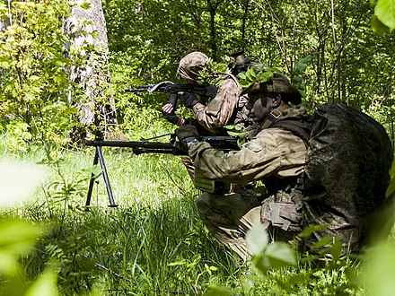 Иностранных военных формирований. Экипировка разведчика спецназ гру 2018. СПН. Спецназ разведки РФ. Спецназ гру Генштаба вс России.