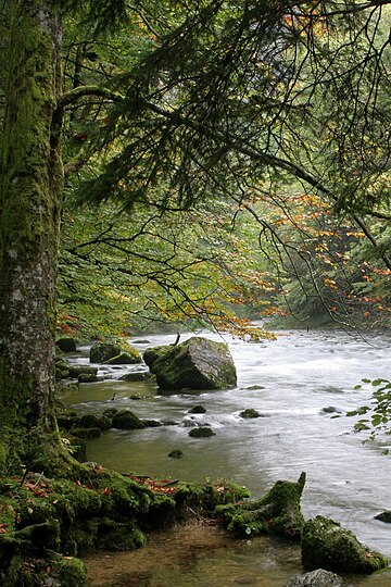 Orbe (rivière)