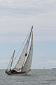 Rose Noire II dans la baie de la Rochelle