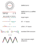 Thumbnail for Reverse Transcription Loop-mediated Isothermal Amplification