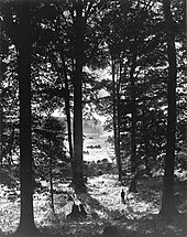 Photograph of the Sacred Grove by George Edward Anderson, circa 1907 Sacred Grove (1907).jpg