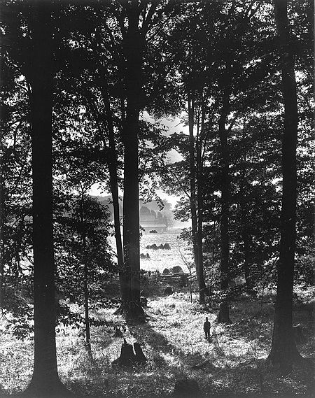 Sacred Grove (1907)