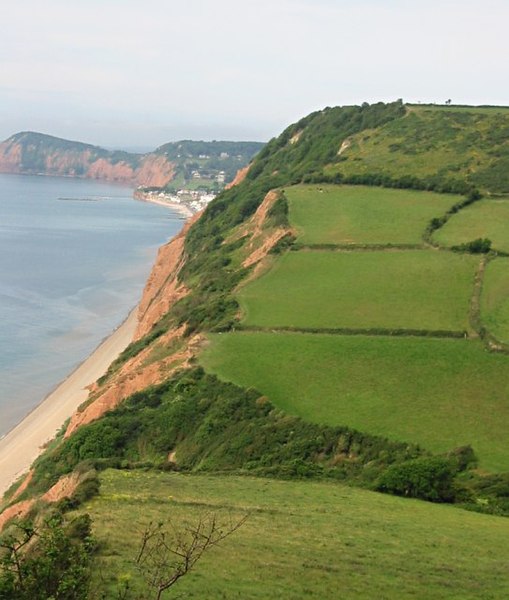 File:Salcombe Hill from Dunscombe Cliff - geograph.org.uk - 263207.jpg