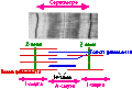 Thumbnail for version as of 21:00, 30 July 2013