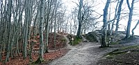 Vorschaubild für Hengst (Wallanlage)