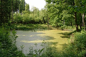 Schleswig-Holstein, Itzehoe, Landschaftsschutzgebiet Twiedtberge mit Umgebung NIK 6331.JPG