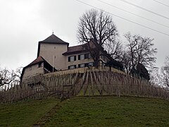 Schloss Girsberg bei Waltalingen