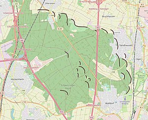 Schwetzinger Hardt: Name, Geographie, Geschichte