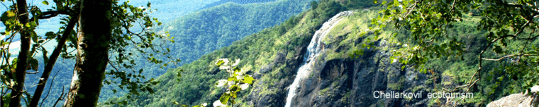 Site view from chellarcovil.gif