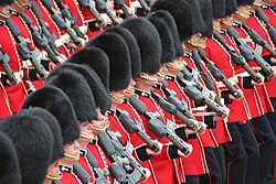 Soldiers Trooping the Colour, 16th June 2007.jpg