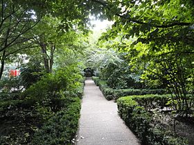 Illustrasjonsbilde av Square du Petit-Bois-artikkelen