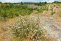 English: Státní lom, an abandoned quarry in the nature park Velký Kosíř. South-west part of the quarry is a national natural monument, but this picture was taken in its north part. Čeština: Státní lom, přírodní park Velký Kosíř. Jihozápadní část lomu je národní přírodní památkou, ovšem tato fotografie byla pořízena v severní části.