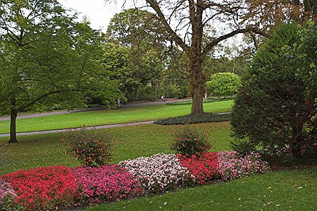 Stadtpark Mainz