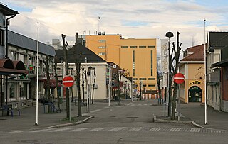 <span class="mw-page-title-main">Stange</span> Municipality in Innlandet, Norway