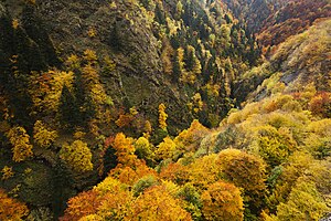 Montes Balcanes: Geografía, Hidrología, Protección