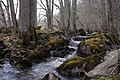 Струмок у Вестманланді