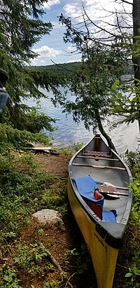 Summertime View of Flack Lake.jpg