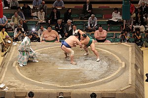 Sumo Wrestling - Tokyo.jpg