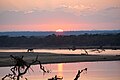 * Nomination Sunset over the Luangwa River, South Luangwa Nat'l Park, Zambia --Tagooty 00:08, 4 September 2023 (UTC) * Promotion  Support Good quality. --Johann Jaritz 02:05, 4 September 2023 (UTC)