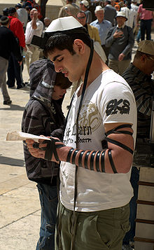 A young boy wearring his phylacteries (Tefillin), for the …