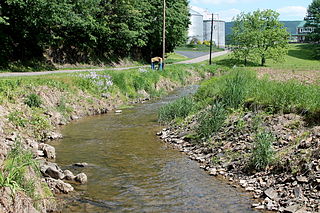 Tenmile Run (Susquehanna River tributary)