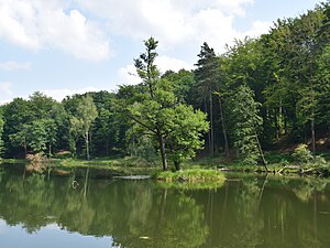 Teufelssee Bad Freienwalde 2021.jpg