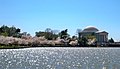 Wide view of the Tidal Basin with blossoms in 2010