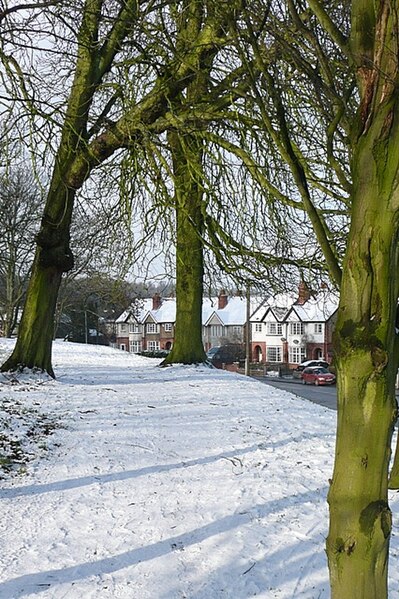 File:Tilehurst Road - geograph.org.uk - 1156647.jpg