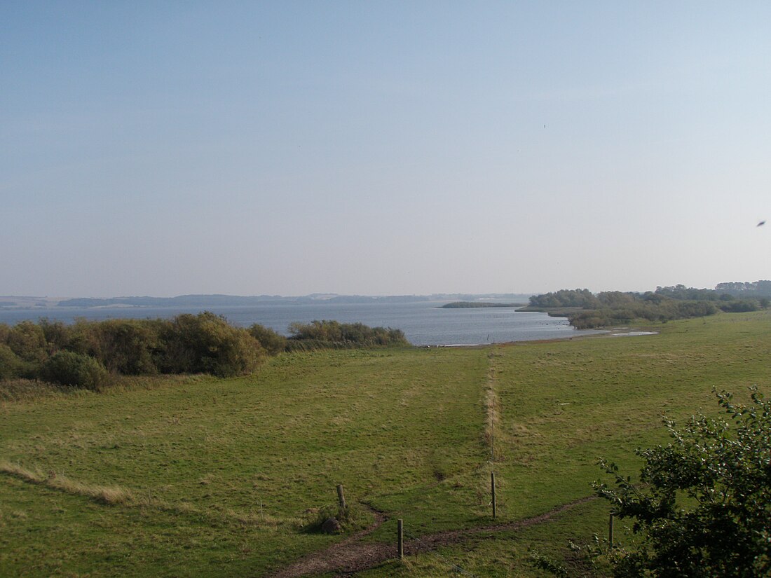 Natura 2000-område nr. 157 Åmose, Tissø, Halleby Å og Flasken