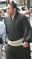 Tochinoshin, Maegashira