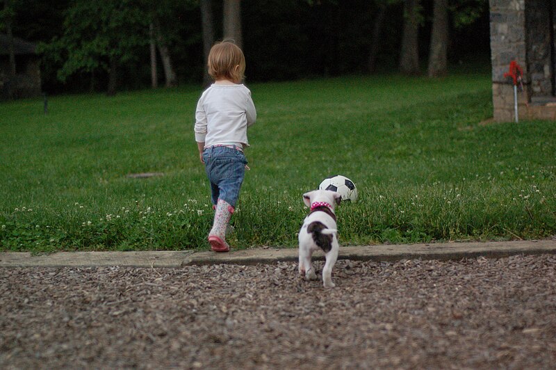 File:Toddler and 7 week hybrid puppy.JPG