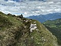Monte Tombea, trinceamento sul crinale del monte Cortina