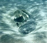 La torreta defensiva del avión.