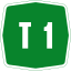 T1