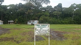 Uganda Virus Research Institute visit on 2 March 2018 - the forest 03.jpg