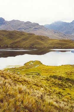 Una laguna en el cajas.jpg