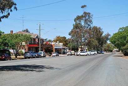 How to get to Ungarie with public transport- About the place