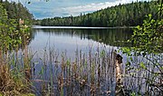 Pienoiskuva sivulle Vääräjärvi (Jyväskylä, Huhtasuo)