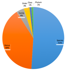 Proportion of 18,470 viral connected with predicted hosts at various taxonomic levels VIRUS HOST.png