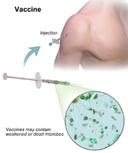 Vaccine