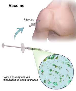 distruge numărul de zile înainte de vaccinare