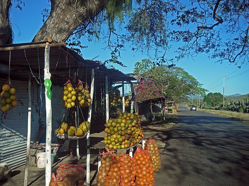 File:Ventas de naranjas por Aragua de Maturin.jpg