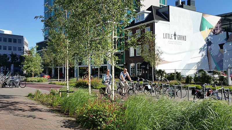 File:Vestdijk, Eindhoven (50580799387).jpg