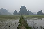 Vietnam, Ninh Binh, Limestone rocks and wetlands.jpg