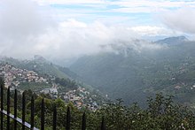 View from Coaker's Walk